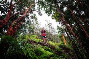 BIB: 
                            <button type="button" onclick="openModal(26201627)" class="btn btn-primary btn-sm float-right btn-popup" data-toggle="modal" data-target=".modal-high-quality">
                        <i class="fas fa-shopping-cart"></i> Add to Cart
                    </button>
                                            <button type="button" onclick="isThisMe(26201627, true)" class="btn btn-success btn-sm float-right btn-popup btn-isme hidden" data-toggle="tooltip" data-placement="bottom" title="นี่คือรูปของคุณใช่ไหม คลิกที่นี่เพื่อเอาเข้าอัลบั้ม">
                        <i class="fas fa-plus"></i> Add to album
                    </button>
                    <button type="button" onclick="isThisMe(26201627, false)" class="btn btn-warning btn-sm float-right btn-popup btn-isnotme hidden">
                        <i class="fas fa-ban"></i> Remove from album
                    </button>